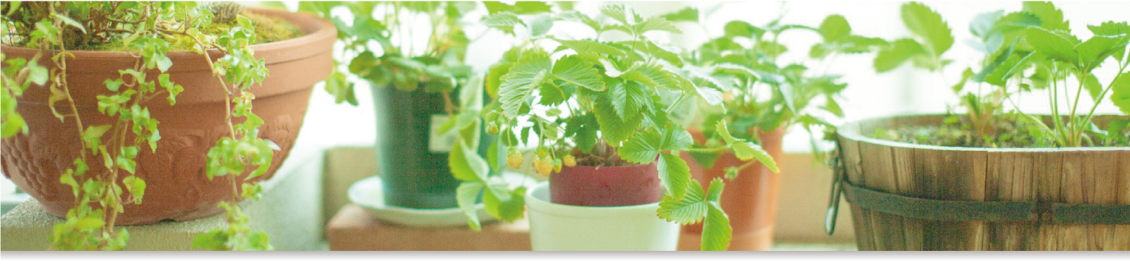 家づくりのコンセプト イメージ