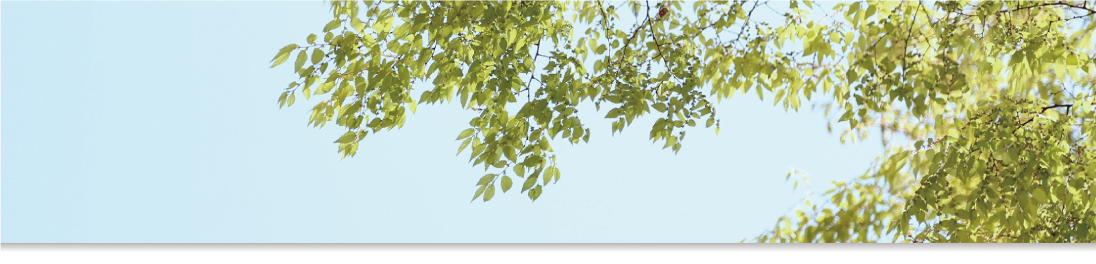 家づくりのコンセプト イメージ